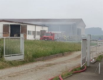Qualm dringt aus einem Kuhstall der Agrargenossenschaft in Hainewalde. Weder Tier noch Mensch sind bei dem Brand verletzt worden.  Foto: D. Dittrich