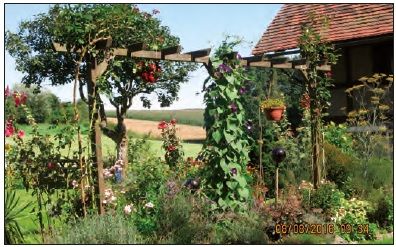 Hier grünt und blüht es! Mit viel Liebe und Phantasie hat Ursel Laßmann am oberen Weinberg einen wunderschönen Bauerngarten angelegt. Foto: Jürgen Walther