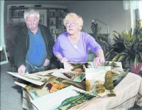 Uta und Knut Schwarzbach suchen Bilder für die Ausstellung über ihren Vater Alwin Schwarzbach aus. Foto: Thomas Knorr 