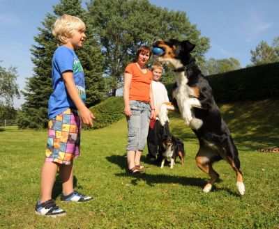 Mit ihren Hunden Nelly und Mini kommt Franka Schönfelder jeden Monat ins Kinderheim Haus Carola in Hainewalde – und dann spielen sie und lernen ganz unmerklich viel für ihr Leben. Foto: Steffen Giersch